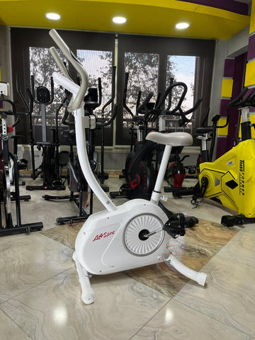 Life Sport Magnetic Bike