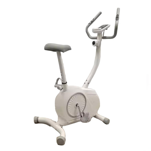 Life Sport Magnetic Bike