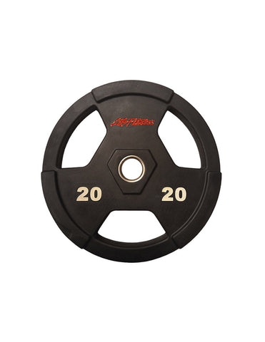 Life Fitness Weight Plate